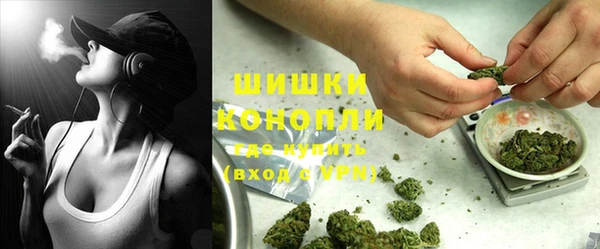 PSILOCYBIN Арсеньев