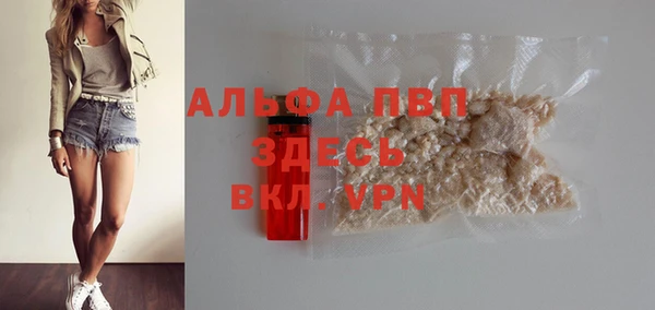 спиды Ростов