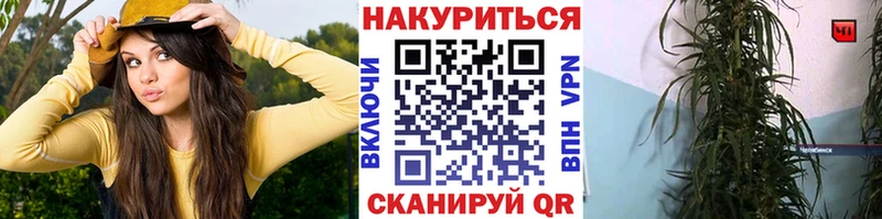 Марихуана конопля  Слюдянка 